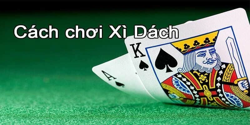 Quy trình của ván bài