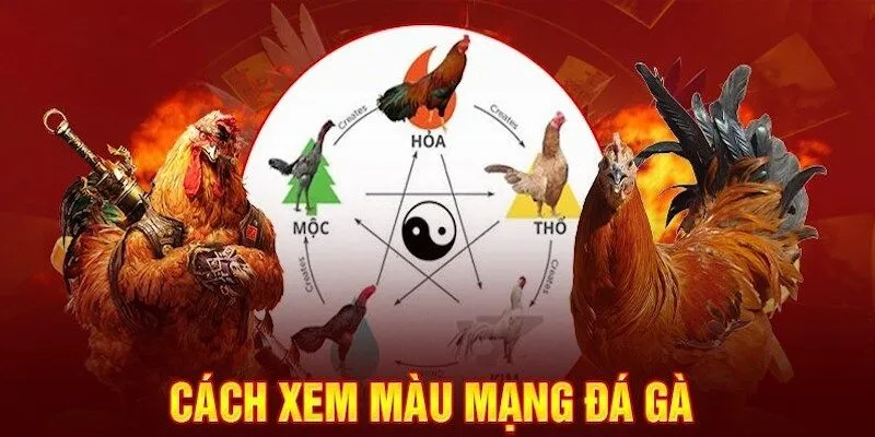 Màu mạng gà đá là gì?